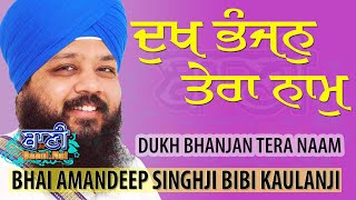 Dukh Bhanjan Tera Naam | Nirol Kirtan | Bhai Amandeep Singh Ji Bibi Kaulan Ji | Nagpur